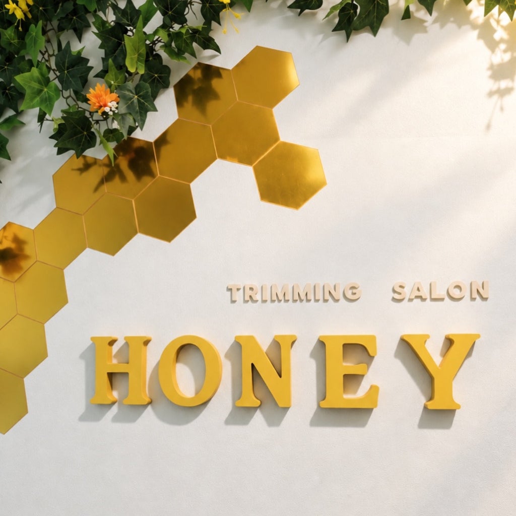 honey_1枚目