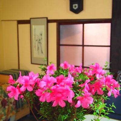 2014/02/27に太喜堂が投稿した、店内の様子の写真