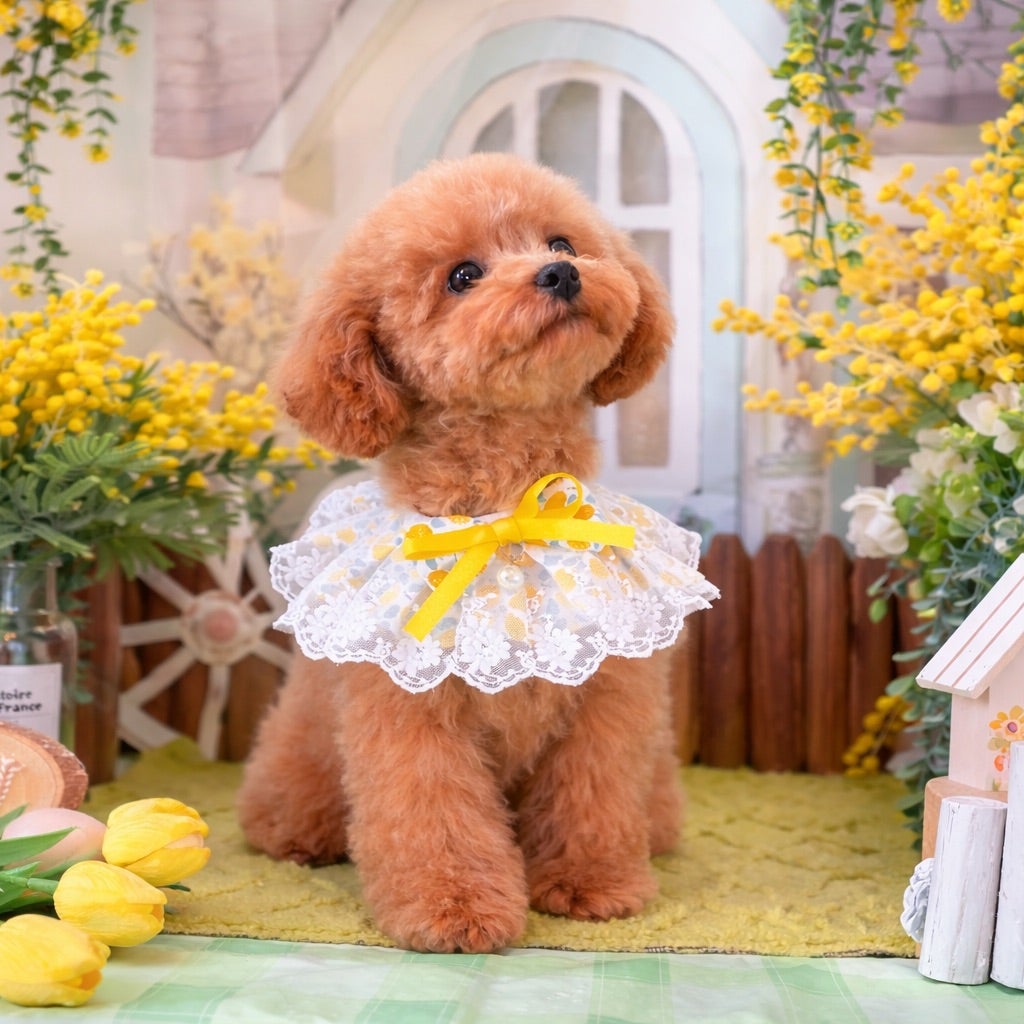 犬のトリミング ようちえん ＰＵＰＰＹ_1枚目