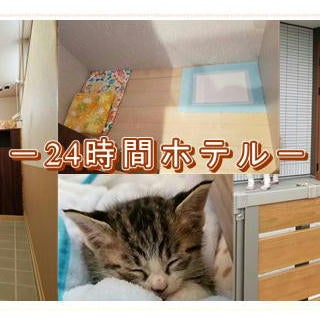 あにまるサロンWiNG_2枚目