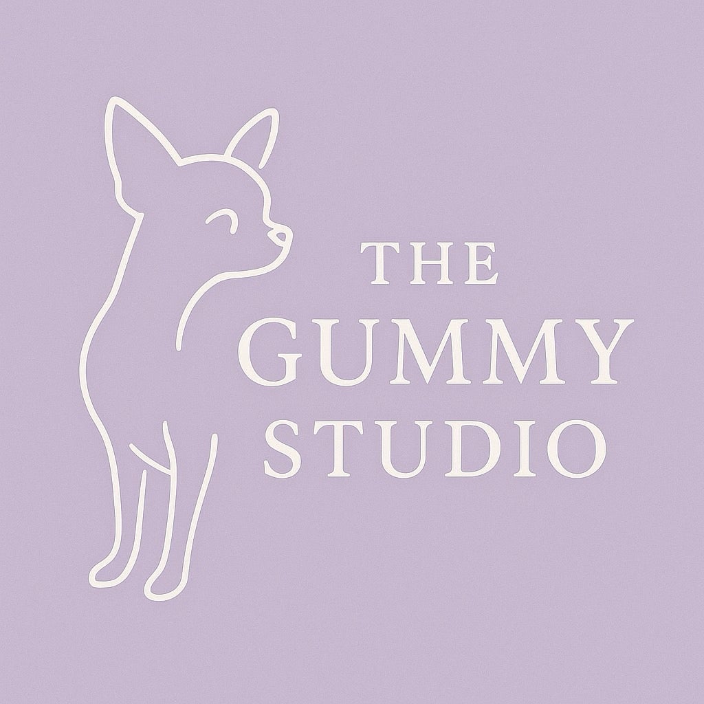 THE GUMMY STUDIO_1枚目