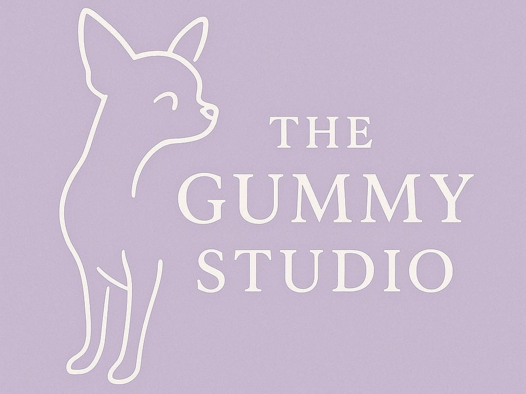 THE GUMMY STUDIO_2枚目