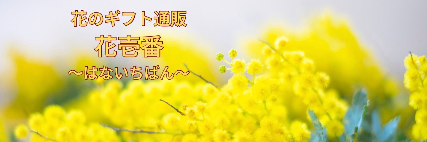 プロステージ花壱番