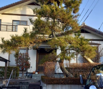 伐採レスキュー福島　(株)関矢工務店の紹介写真_1枚目