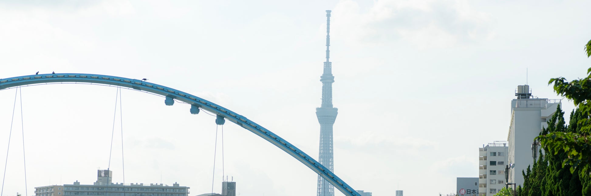 まつい整骨院