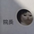 むつみ橋通り歯科クリニック_3枚目