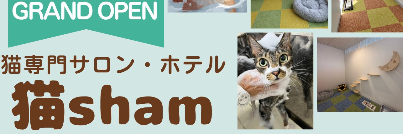 猫sham