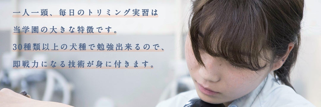 横浜愛犬高等美容学園_1枚目