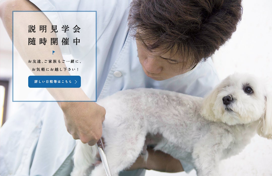 横浜愛犬高等美容学園の紹介写真_1枚目