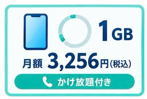 スカイセブンモバイル 久留米店の1GBプランの写真