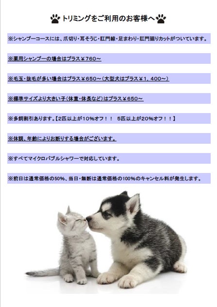 ドッグサロン・ティロ_3枚目