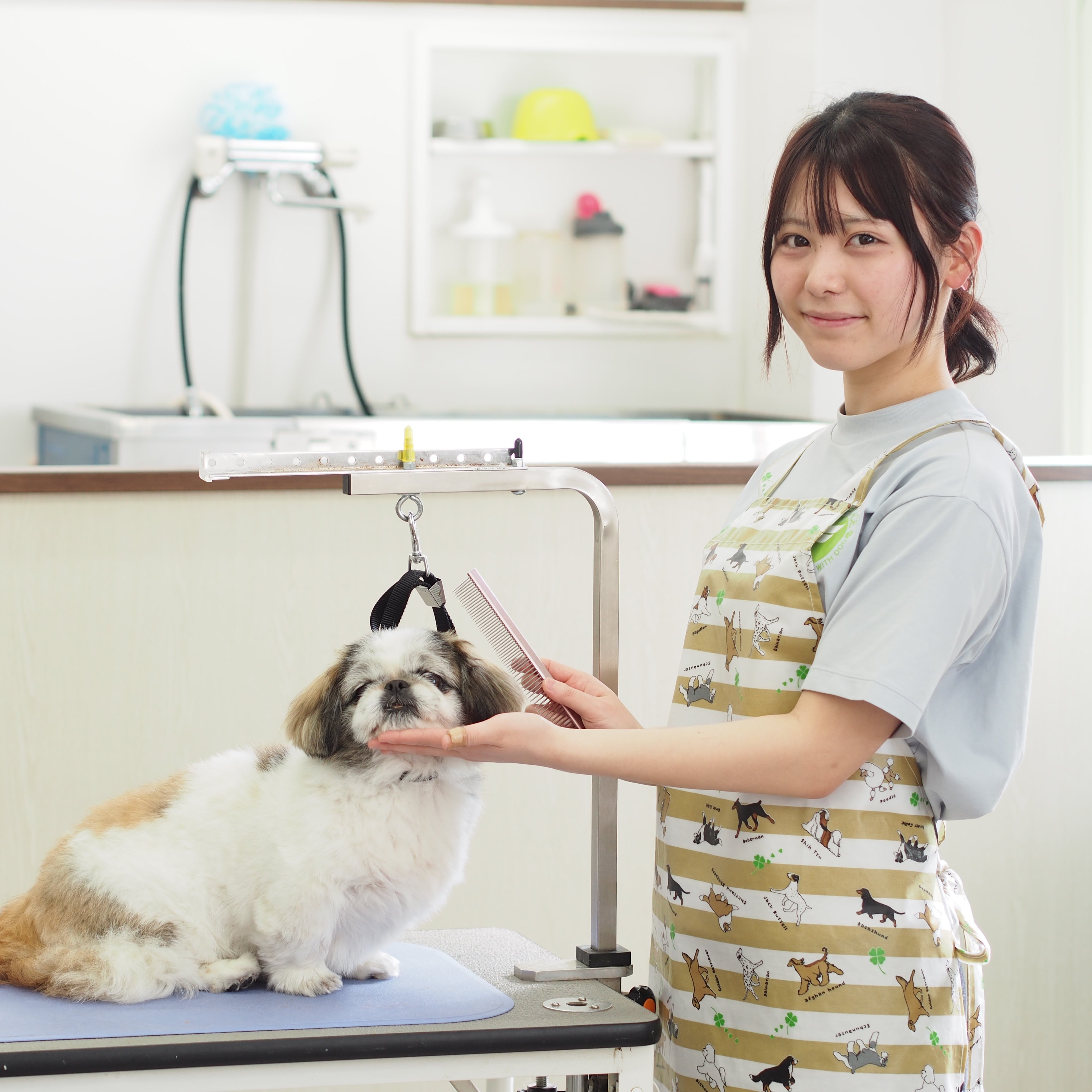 トリミングサロン ファンプレイス カメリアガーデン幸田店_2枚目