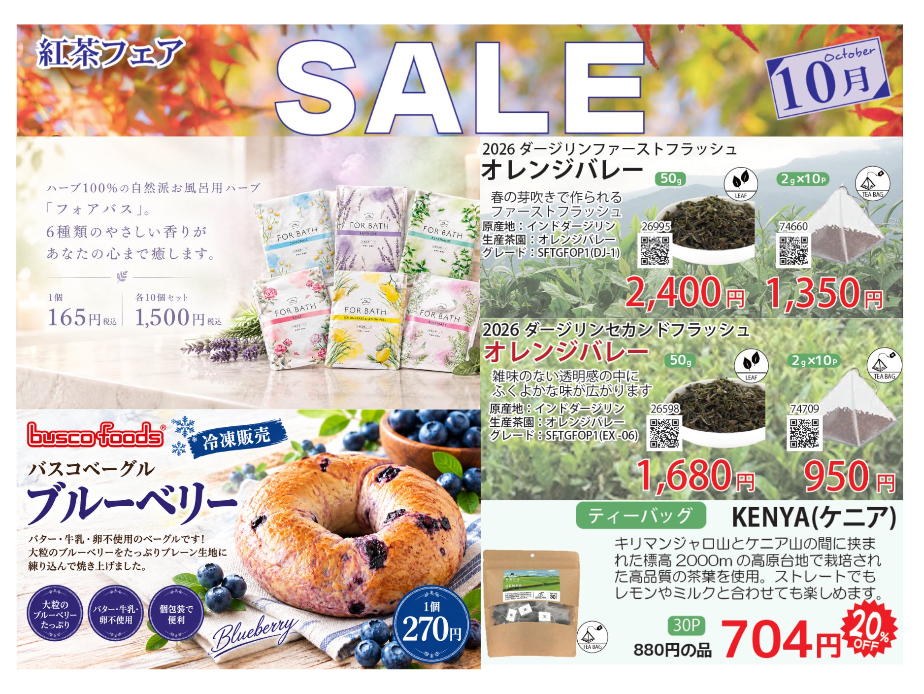 2026年10月のおすすめ商品2の写真