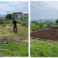 2023年7月、小田原市の農園を草刈り・耕し作業しました。