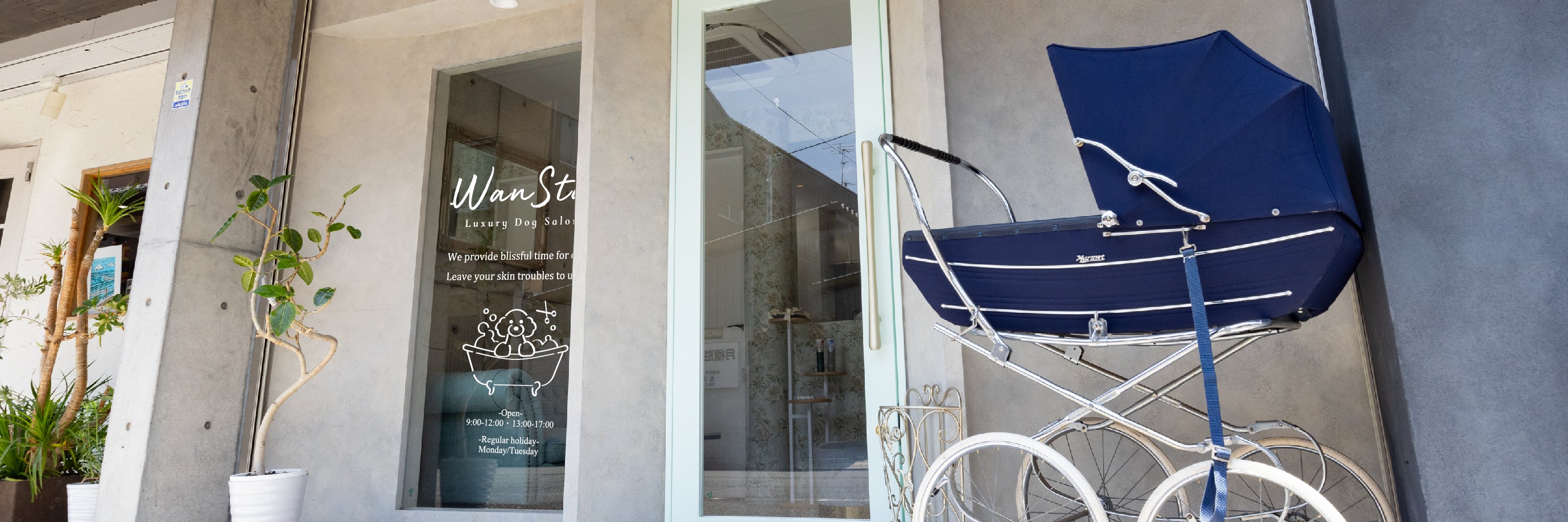 LuxuryDogSalon　WanSta