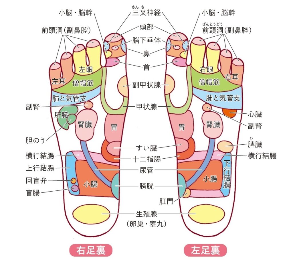 すいなリラクゼーションの台湾式リフレクソロジーの写真
