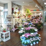 2012/08/27に株式会社タマトメ花遊館が投稿した、店内の様子の写真