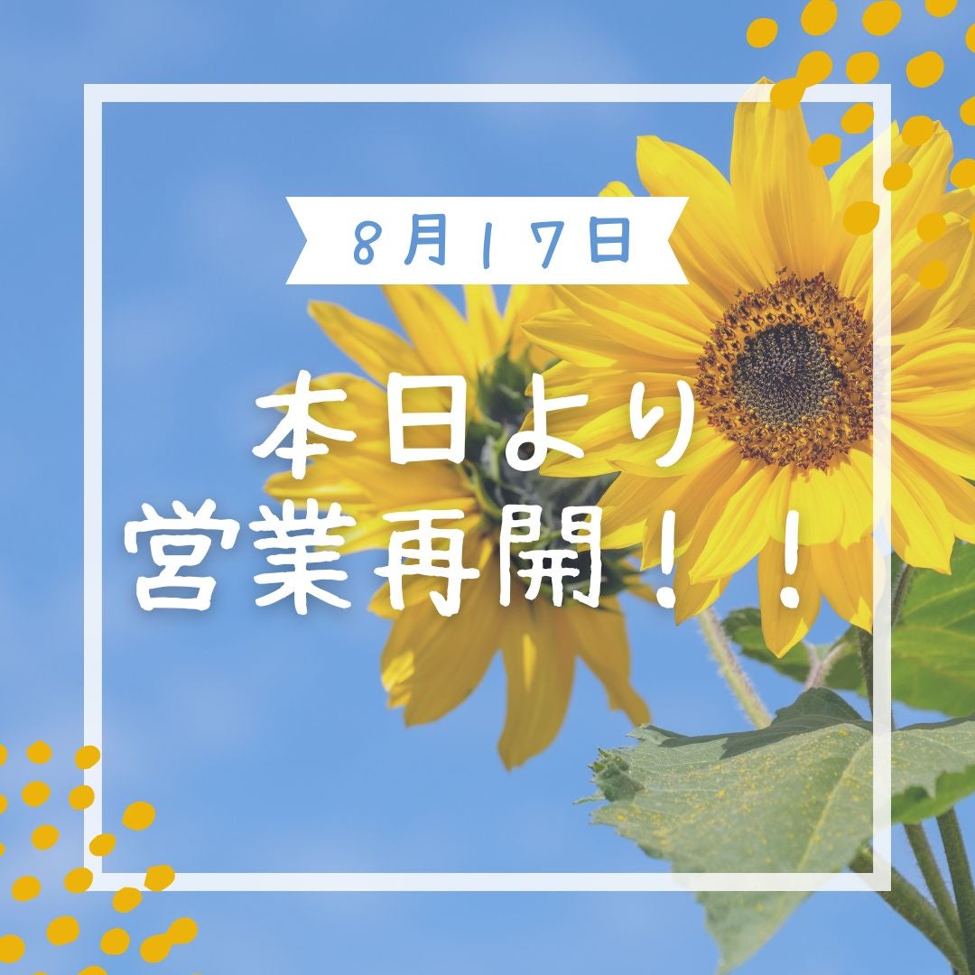 本日より営業再開です！の写真