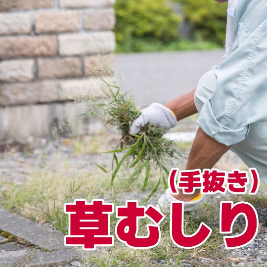 榮倉theGARDEN みよし営業所 -お庭のお手入れ専門店-の草むしり（手抜き）　　1,650円〜/㎡ （税込）の写真