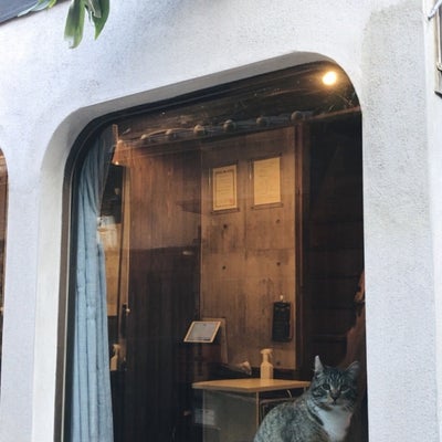 2019/05/17に保護猫とVEGANのお店“neu。”が投稿した、外観の写真