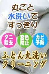 クリーニング　シードのふとん丸洗いの写真