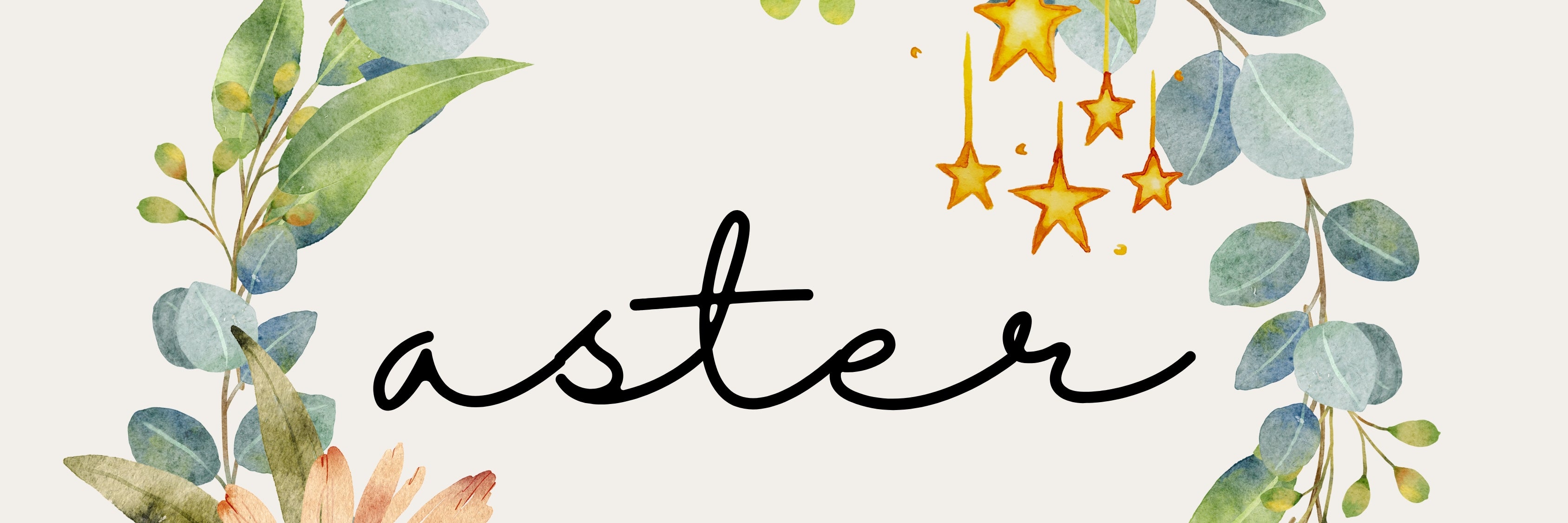 aster