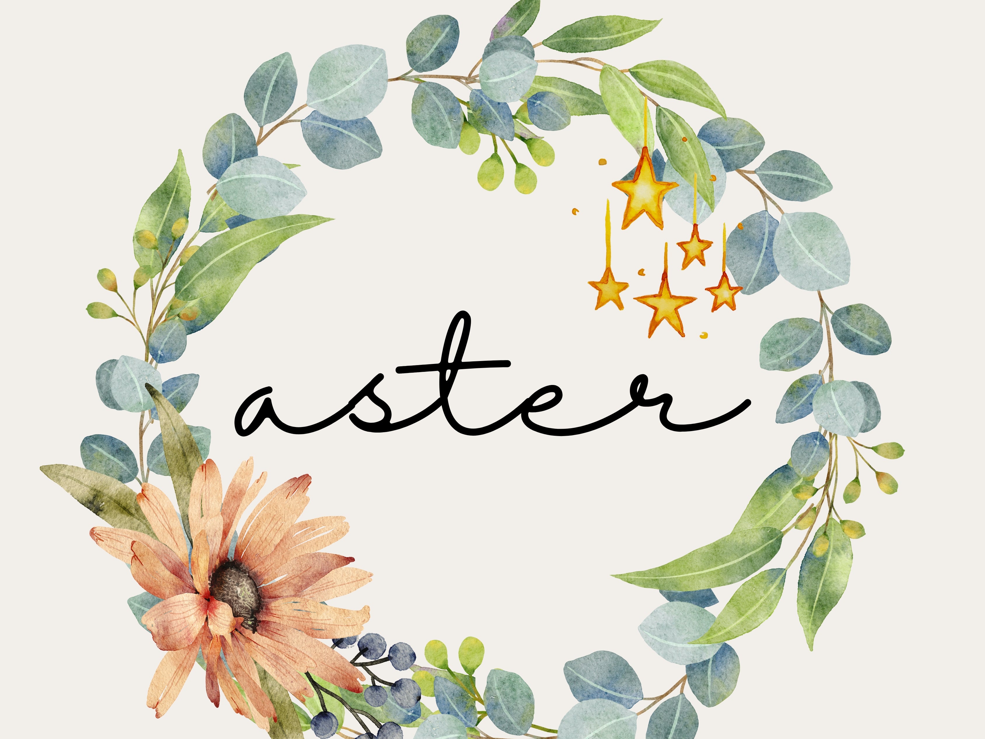aster_3枚目