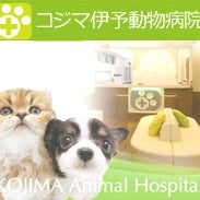 2016/12/13にコジマ伊予動物病院が投稿した、その他の写真