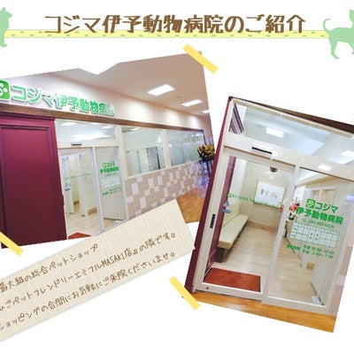 2016/12/13にコジマ伊予動物病院が投稿した、店内の様子の写真