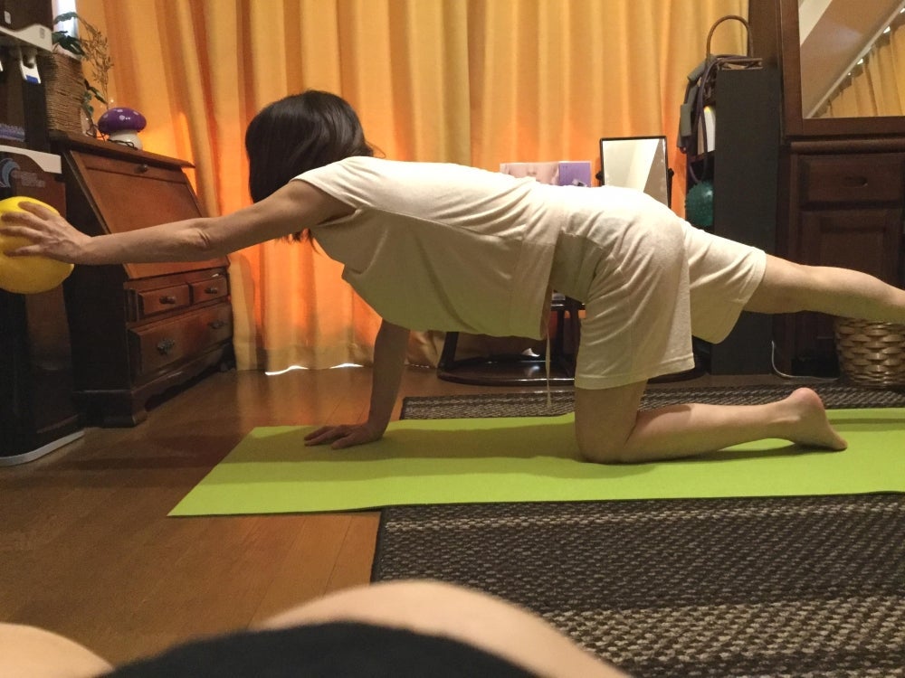 オルポノカラコの紹介写真_2枚目
