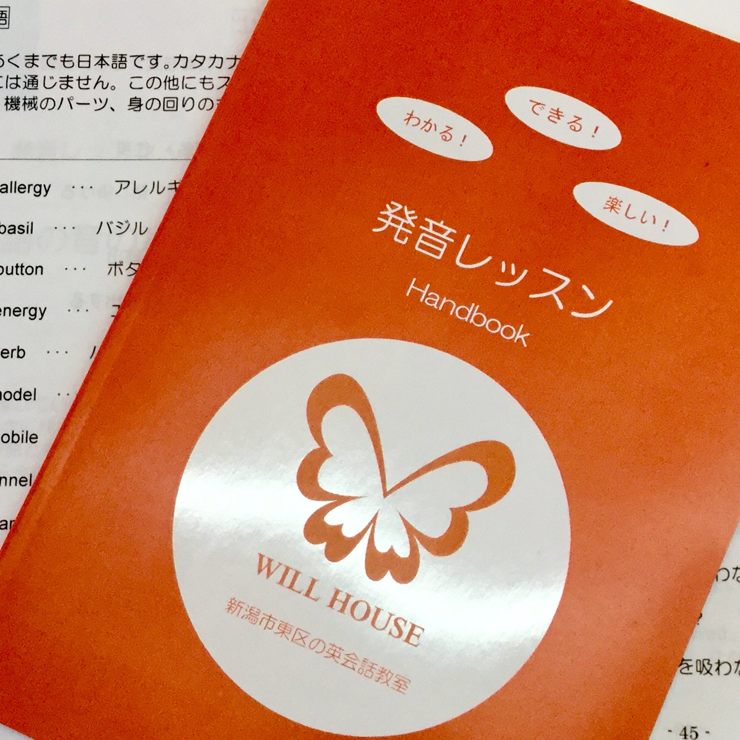 英会話教室　WILL HOUSE（ウィルハウス）_2枚目