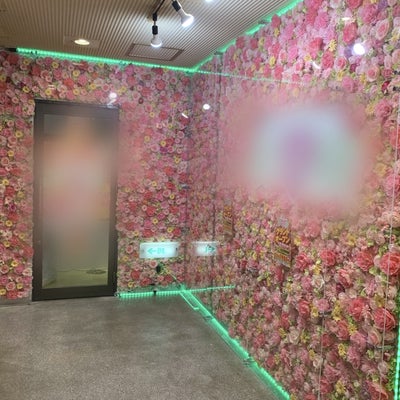 aquxya  flower ＆ jewelry１０丁目店  (プリザーブドフラワー・造花専門店)の壁面装飾（フラワー化）の写真