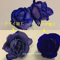 aquxya  flower ＆ jewelry１０丁目店  (プリザーブドフラワー・造花専門店)の生花のプリザーブドフラワー加工の写真