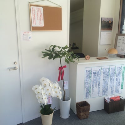 2014/09/03に本田健一鍼灸堂が投稿した、雰囲気の写真