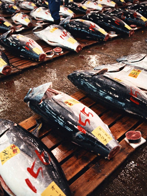 月1回開催★大迫力の本マグロ解体ショーの写真