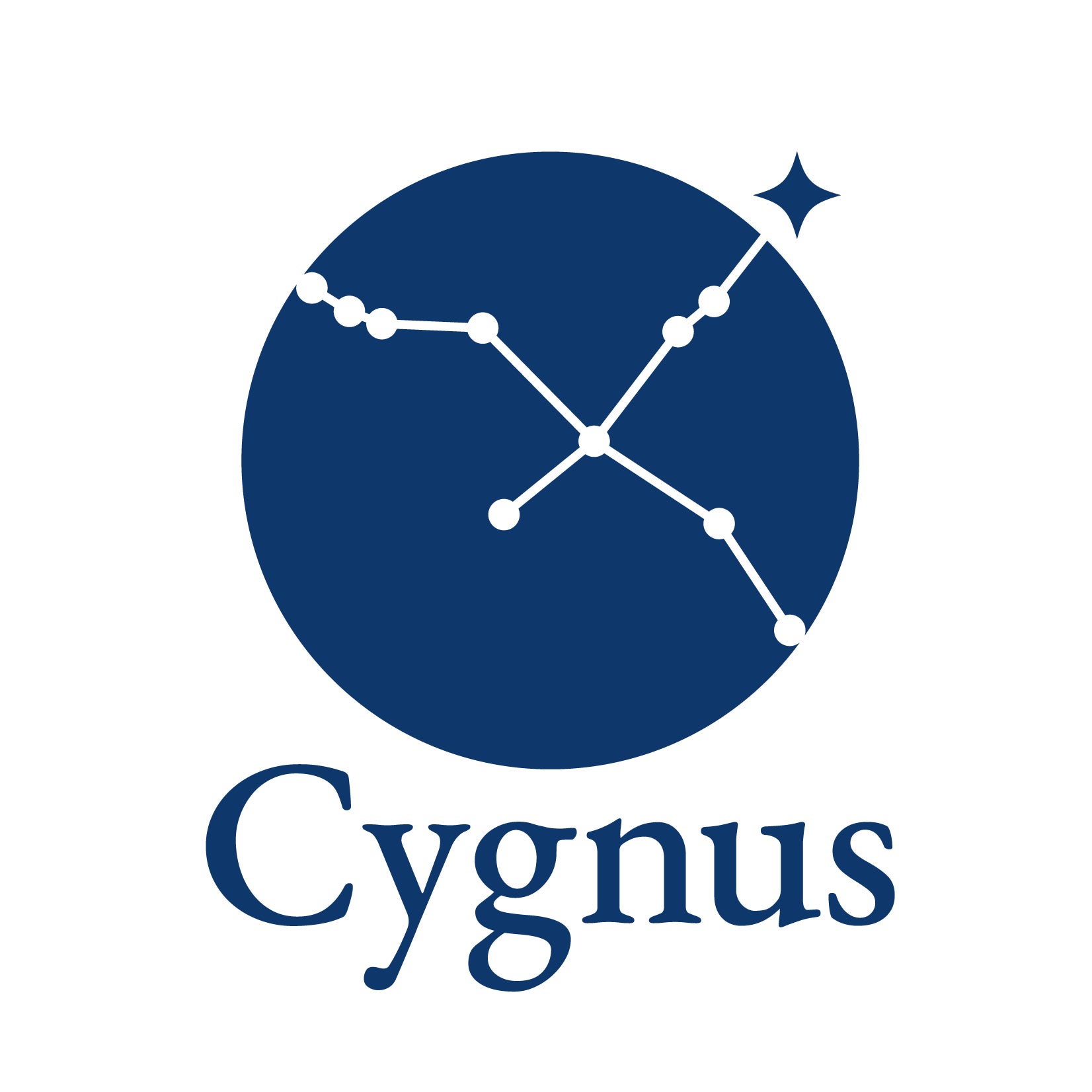 パーソナルトレーニングジム Cygnus_1枚目