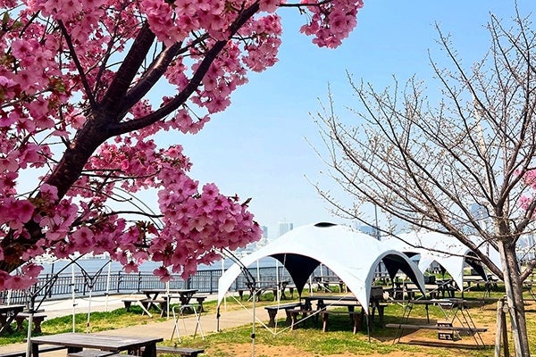 豊洲ぐるり公園手ぶらBBQ広場