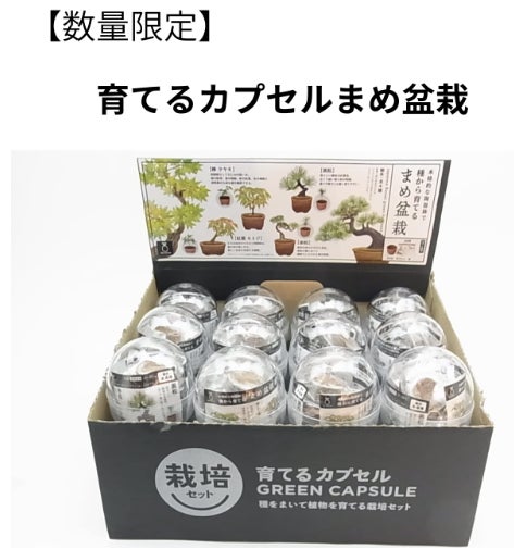 Ｕｉｓｉｎ・ＤｅｓｉｇｎＨｏｍｅＣｅｎｔｅｒの【数量限定】開けてからのお楽しみ！育てるカプセル まめ盆栽の写真