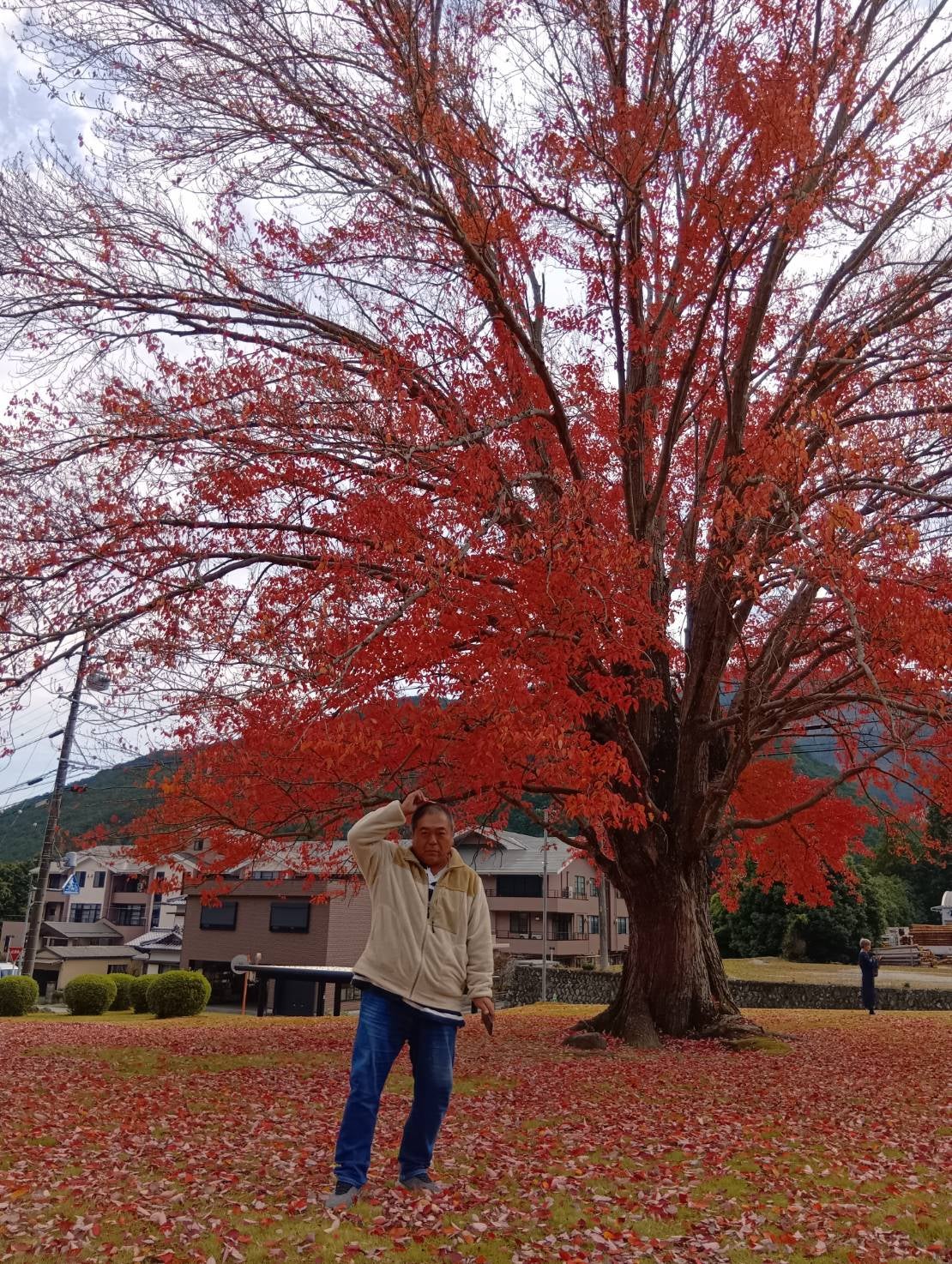 お知らせの写真