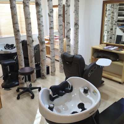 2015/01/10にHair clinic salon 白詰草が投稿した、店内の様子の写真