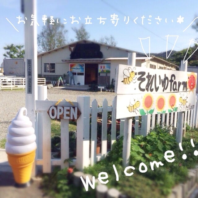 ヘルシーアイランドカフェ奄美店_1枚目