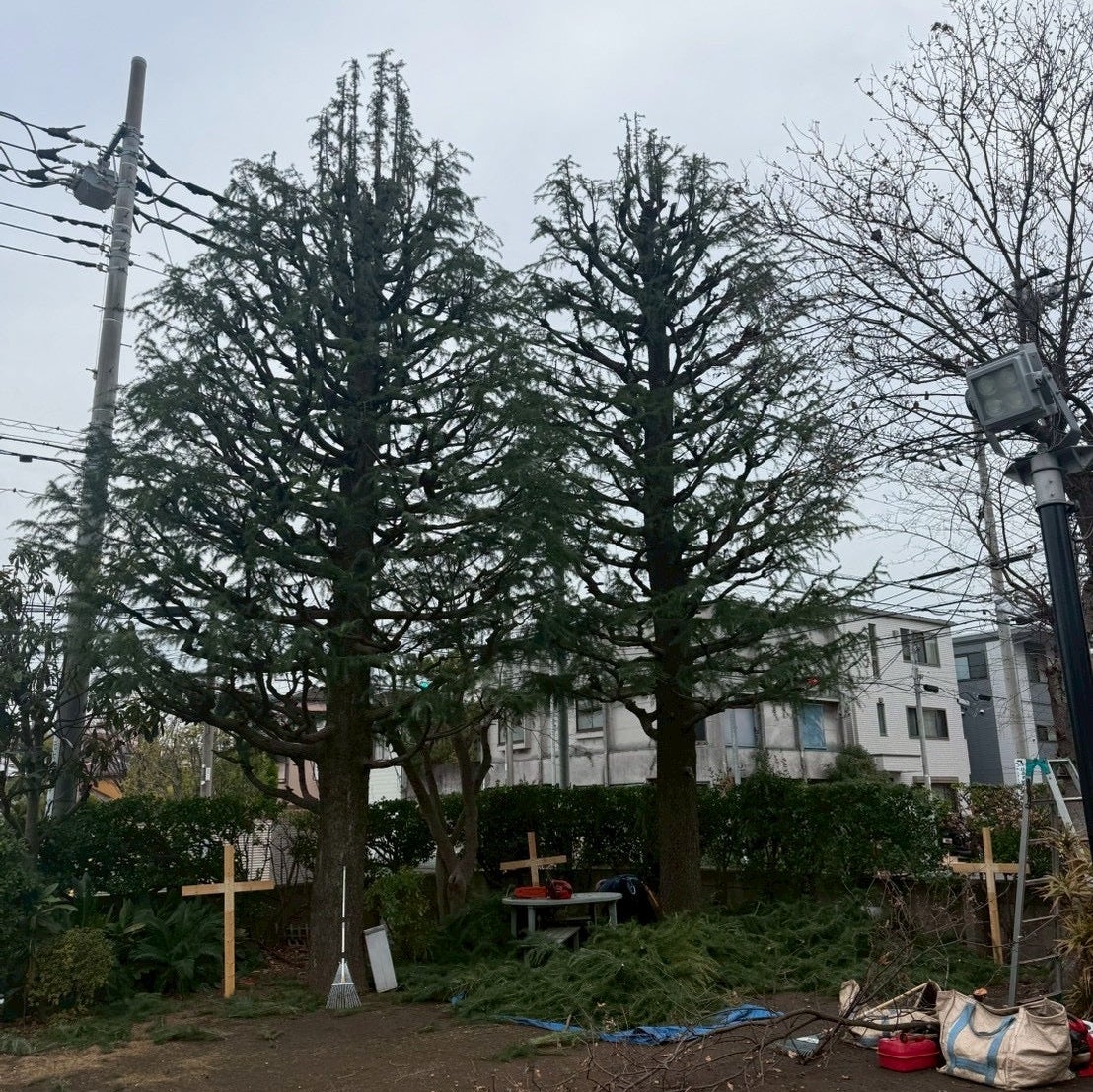 Connect Garden五十松_3枚目
