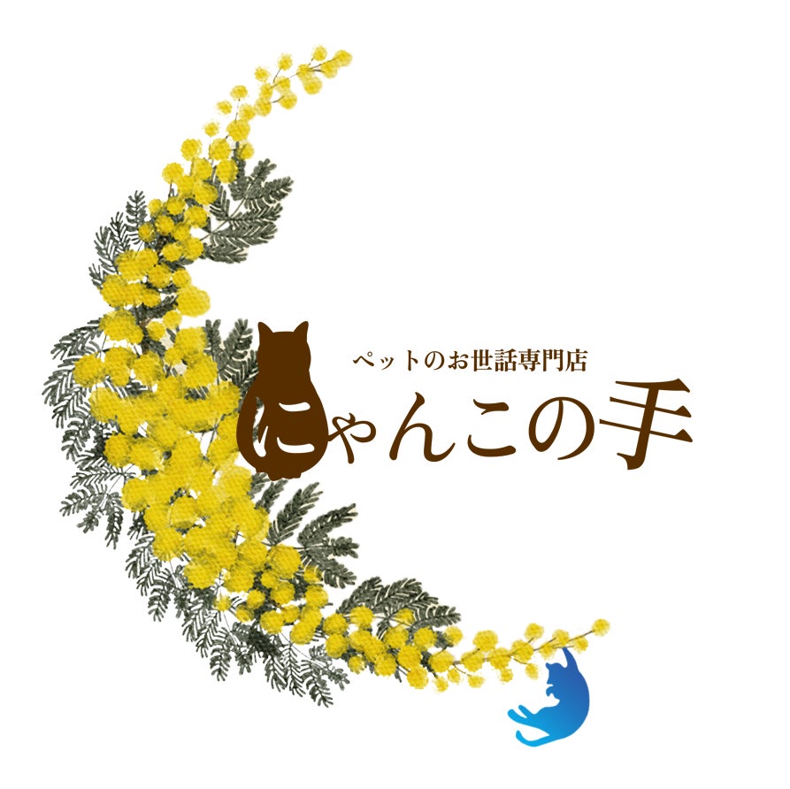 にゃんこの手_1枚目