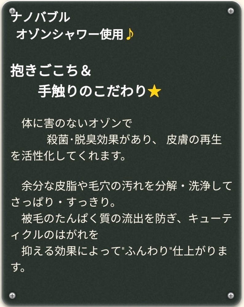 DOG SALON puku pukuのトリミング&オゾンシャワーの写真