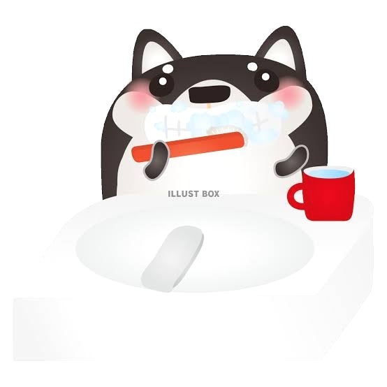 DOG SALON puku pukuのワンちゃんの歯磨きコースの写真