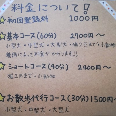日本ペットシッターサービス福山店のシッター1回、1時間が基本コースとなりますの写真_1枚目