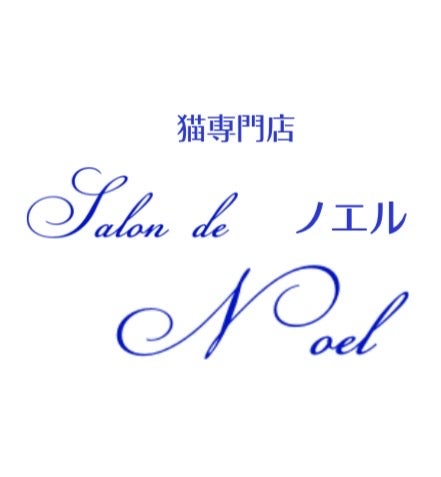猫専門店 Salon de Noelの料金表　等の写真