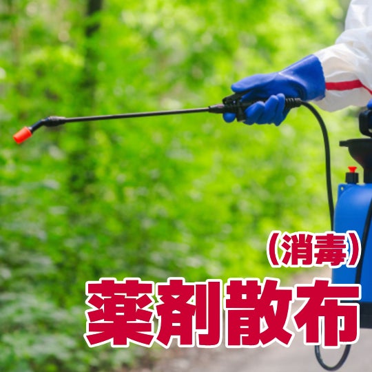 榮倉theGARDEN 岐阜瑞穂営業所 -お庭のお手入れ専門店-の【薬剤散布（消毒）】550円〜/㎡ （税込）の写真