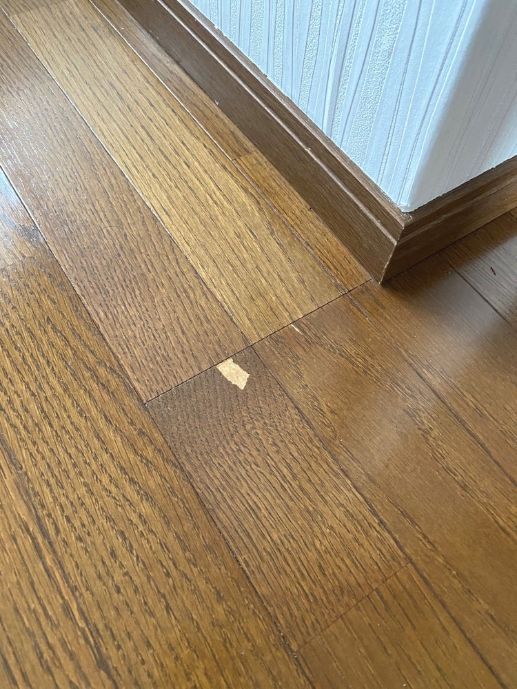 住まいの修理屋さん　カーサPlusの紹介写真_1枚目