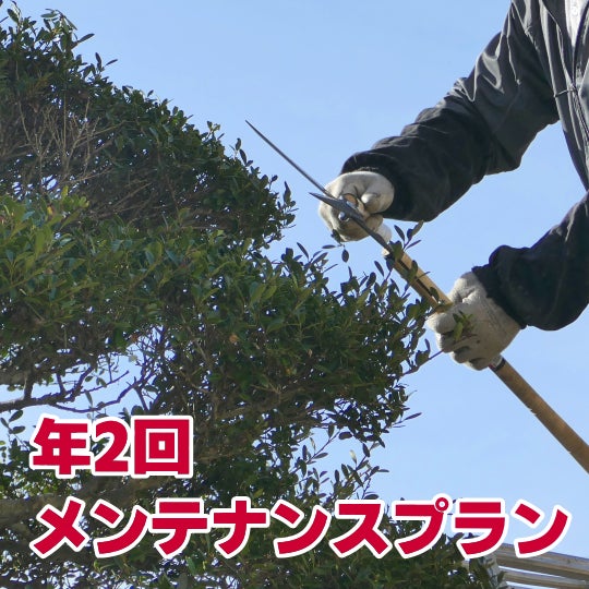 榮倉theGARDEN 笠松営業所 -お庭のお手入れ専門店-の年2回メンテナンスプラン　　35,500円〜 （税込）の写真